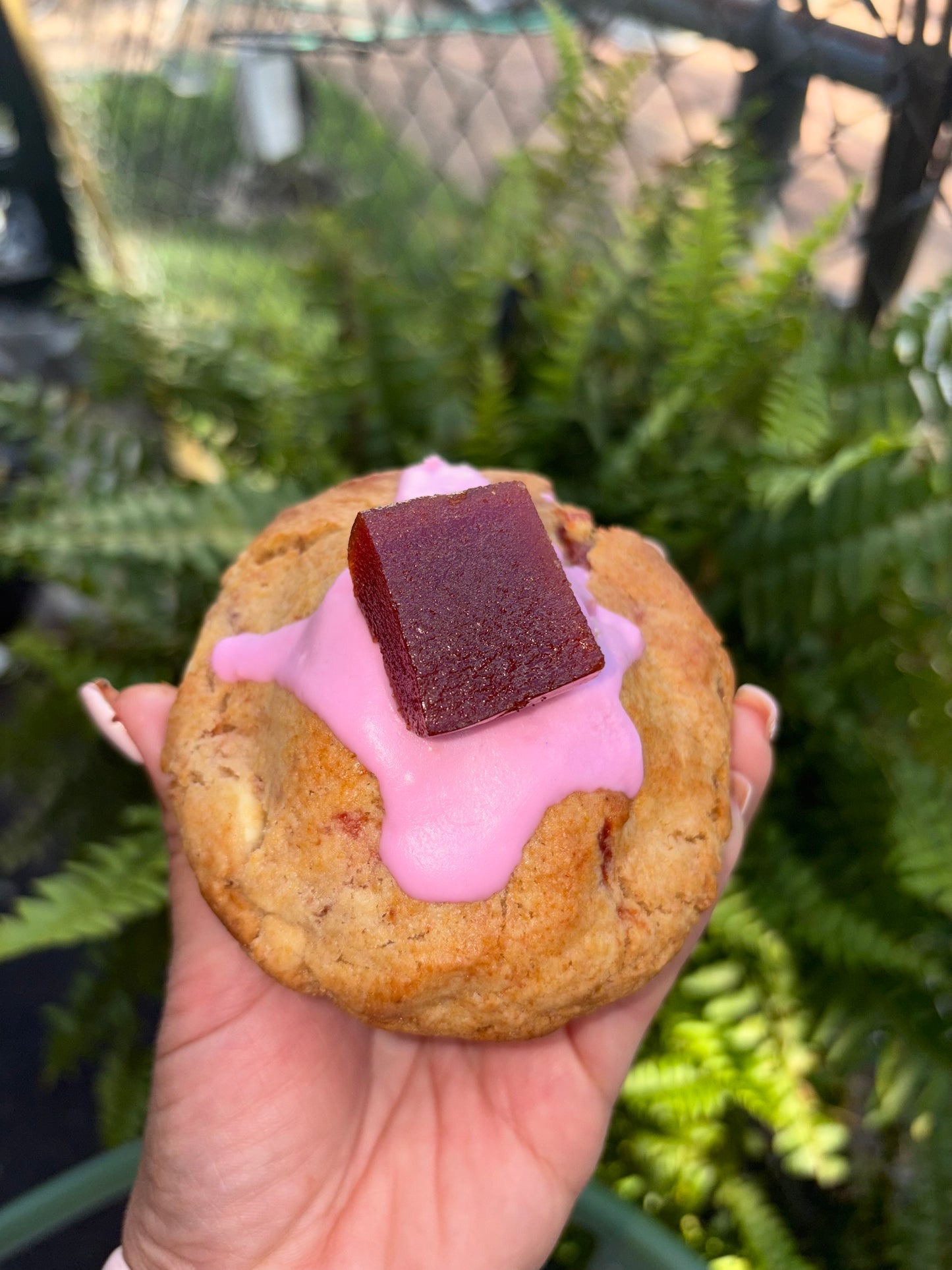Dolce & Guava